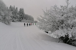 Sortie en ski de fond